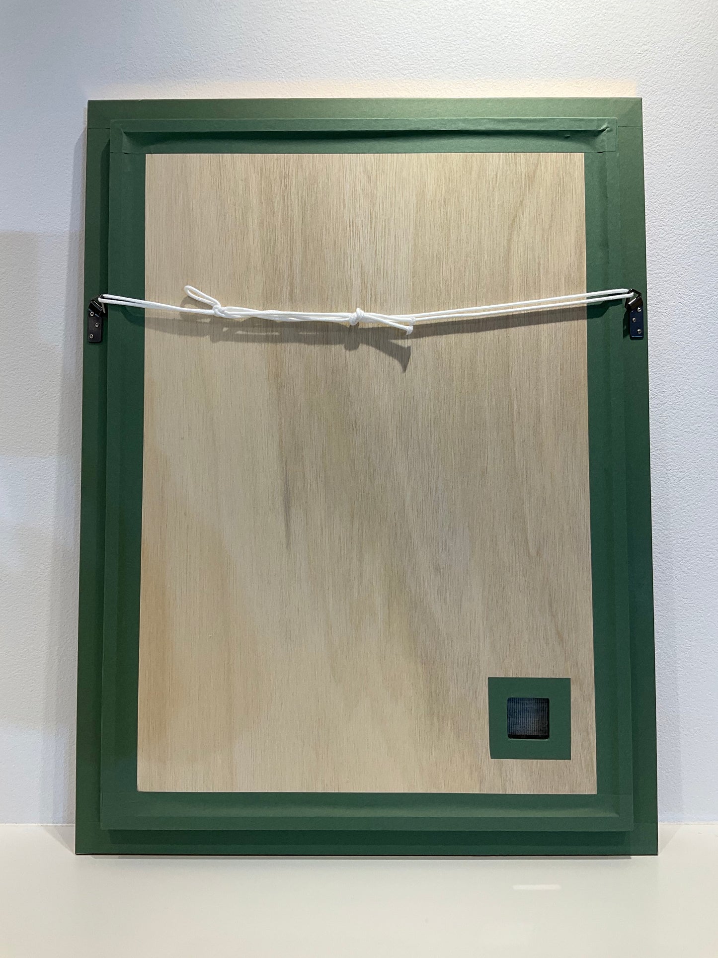 【額装】タブリーズ (イヌワシ) 75cm x 56cm PS8582