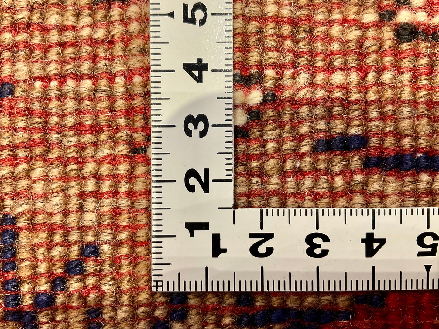 シラーズ 85cm x 65cm RJ12721