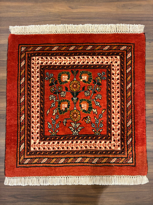 【千葉店】カシュガイ 65cm x 64cm PS7211