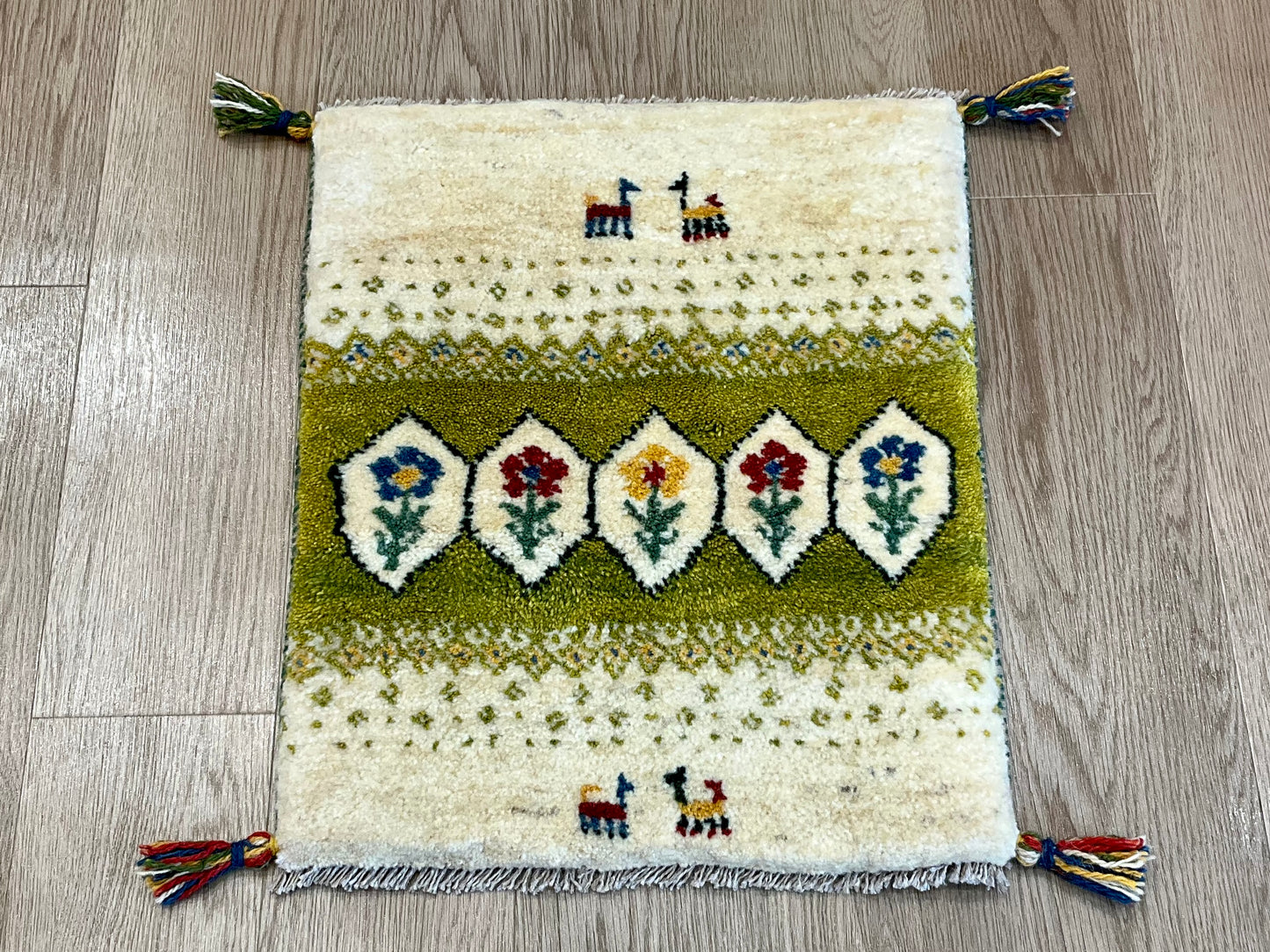 ギャッベ 57cm x 46cm NN16985