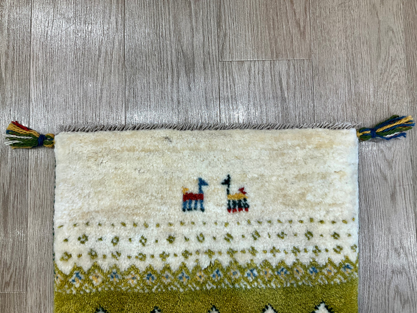 ギャッベ 57cm x 46cm NN16985