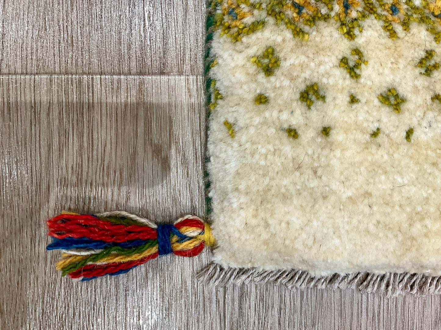 ギャッベ 57cm x 46cm NN16985