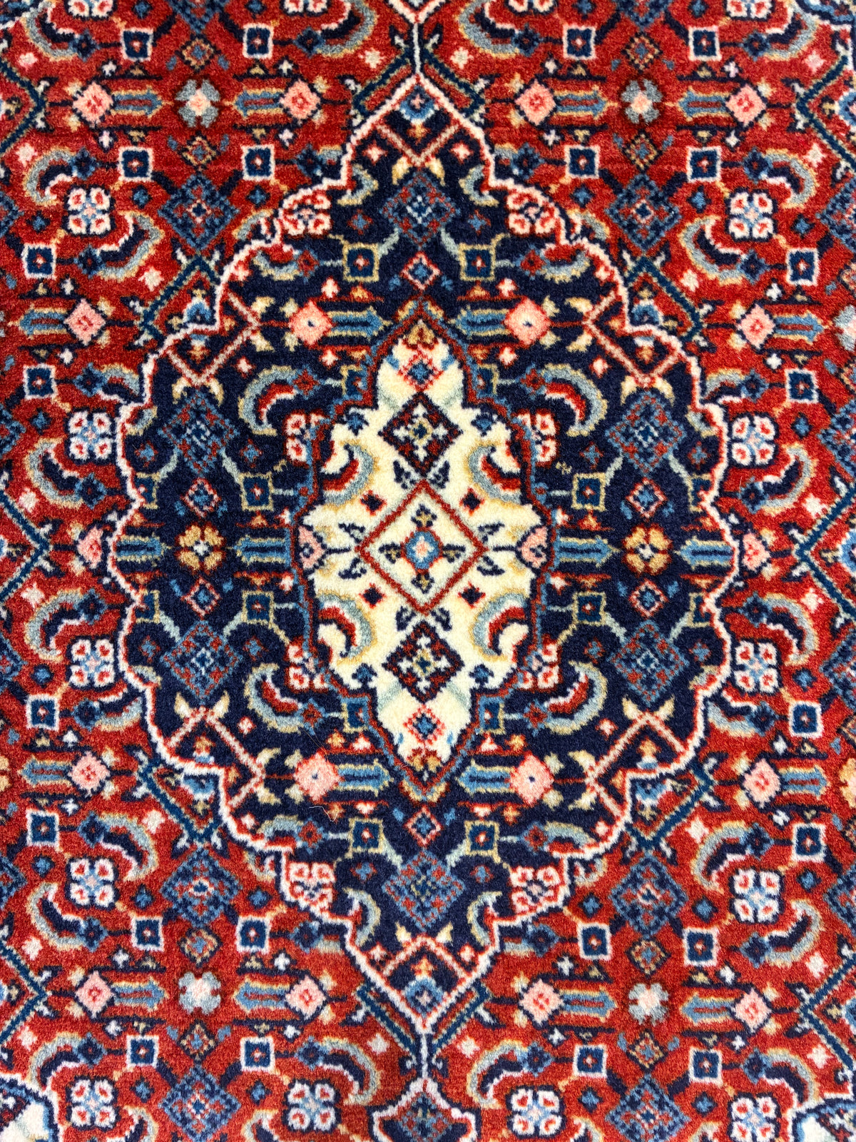 【千葉店】サルーク 70cm x 65cm PS8497
