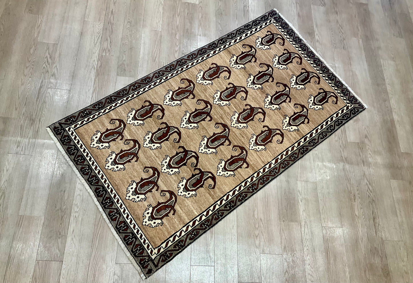 シラーズ 216cm x 120cm NT11200