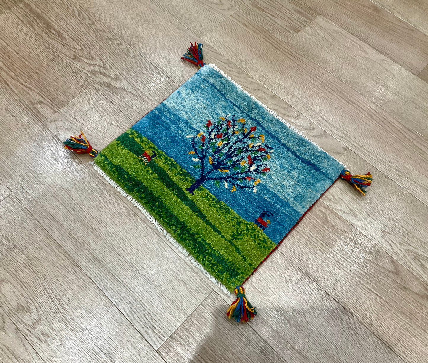 ギャッベ 44cm x 39cm T10000