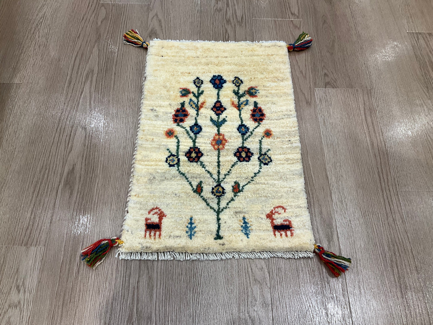ギャッベ 59cm x 40cm NN16699
