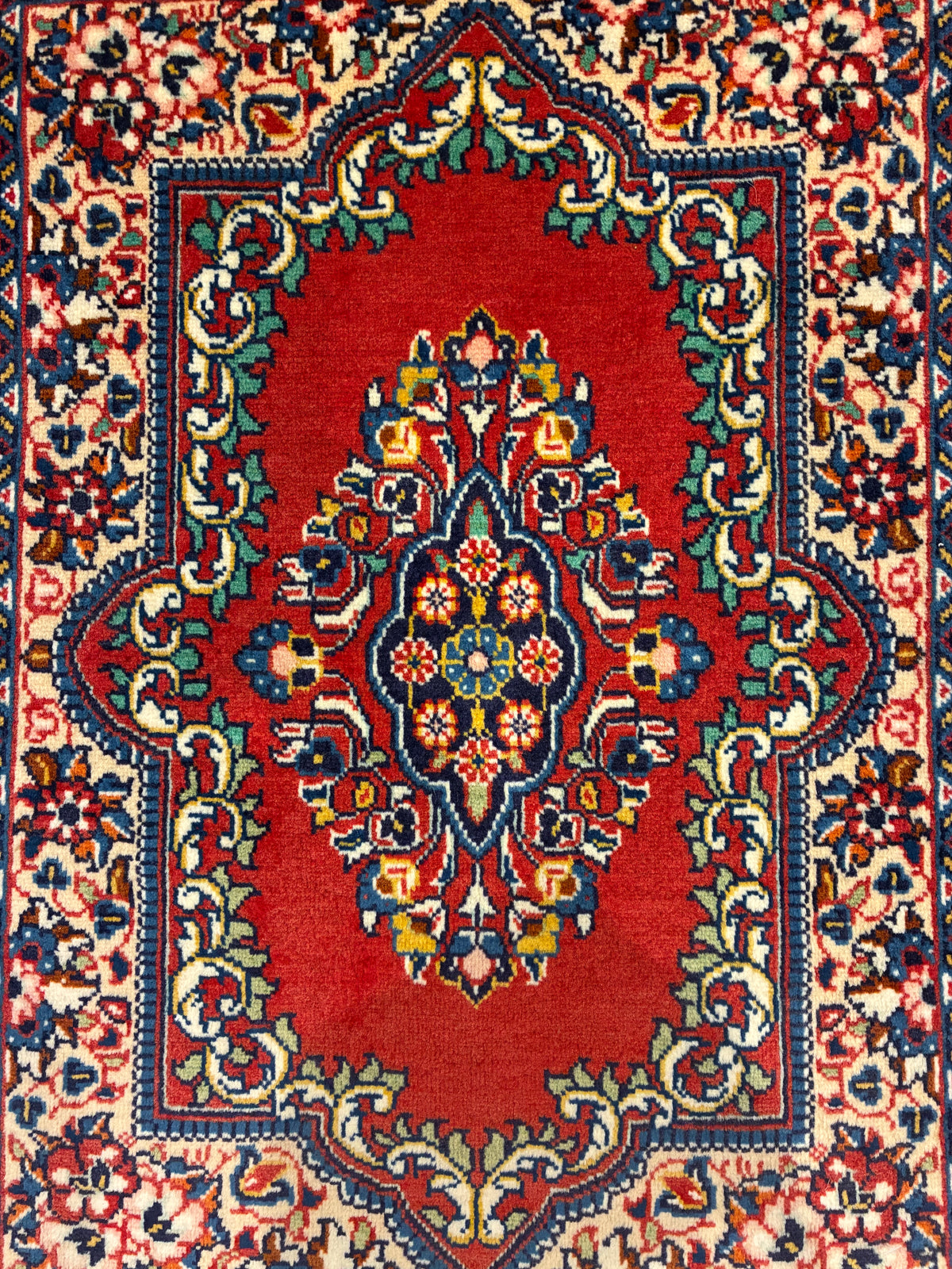 【千葉店】サルーク 83cm x 64cm PS8594