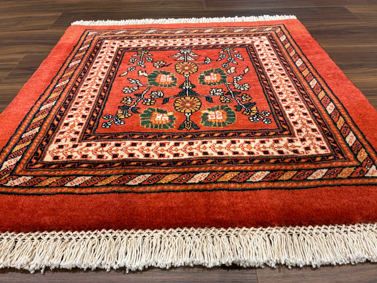 【千葉店】カシュガイ 65cm x 64cm PS7211