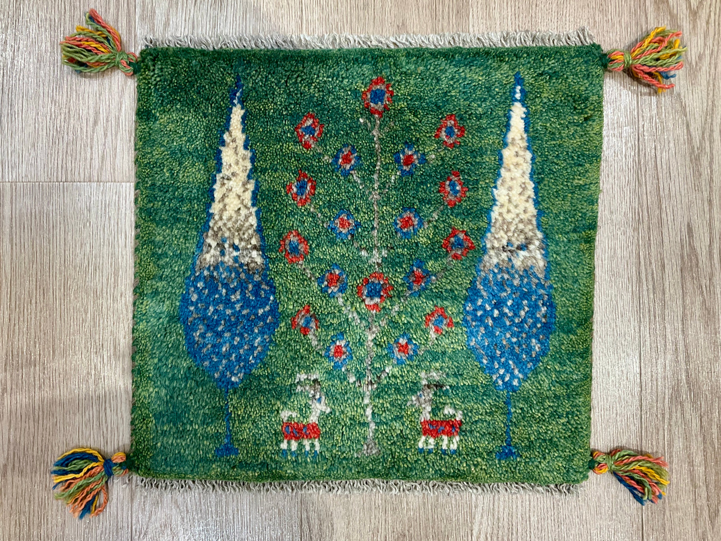 ギャッベ 41cm x 39cm AJ27706