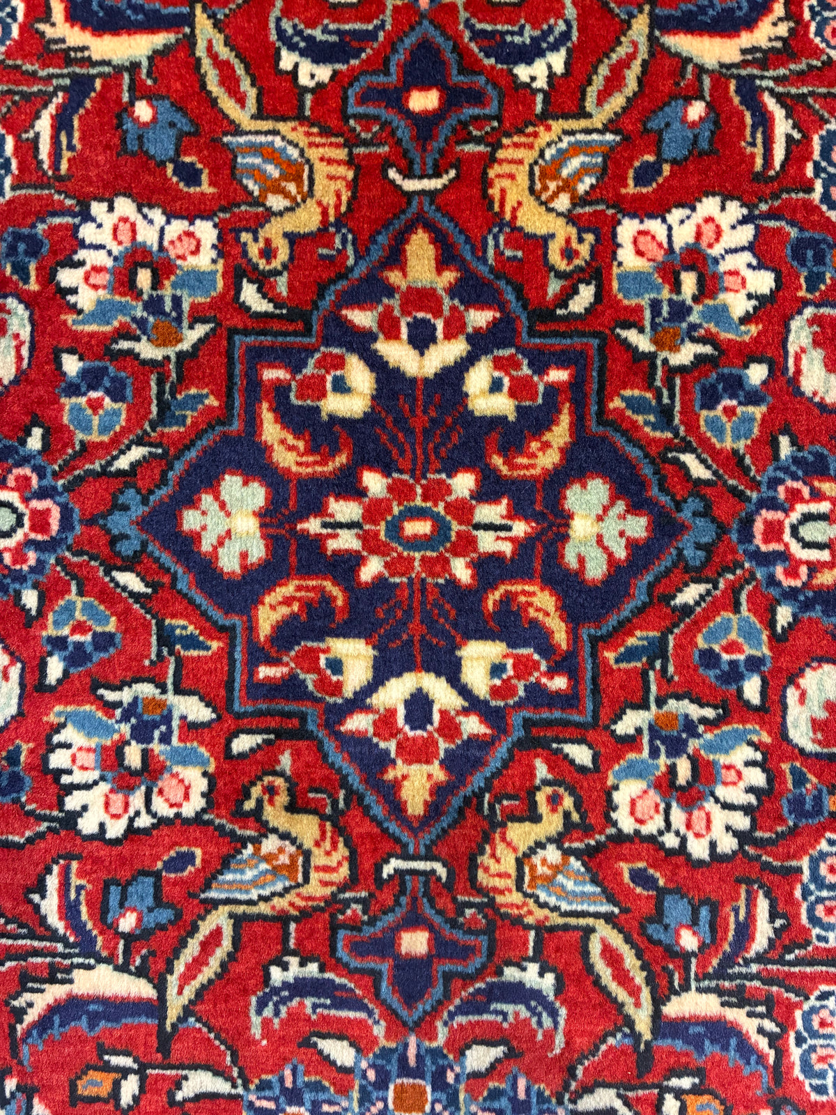 【千葉店】サルーク 77cm x 67cm PS8067