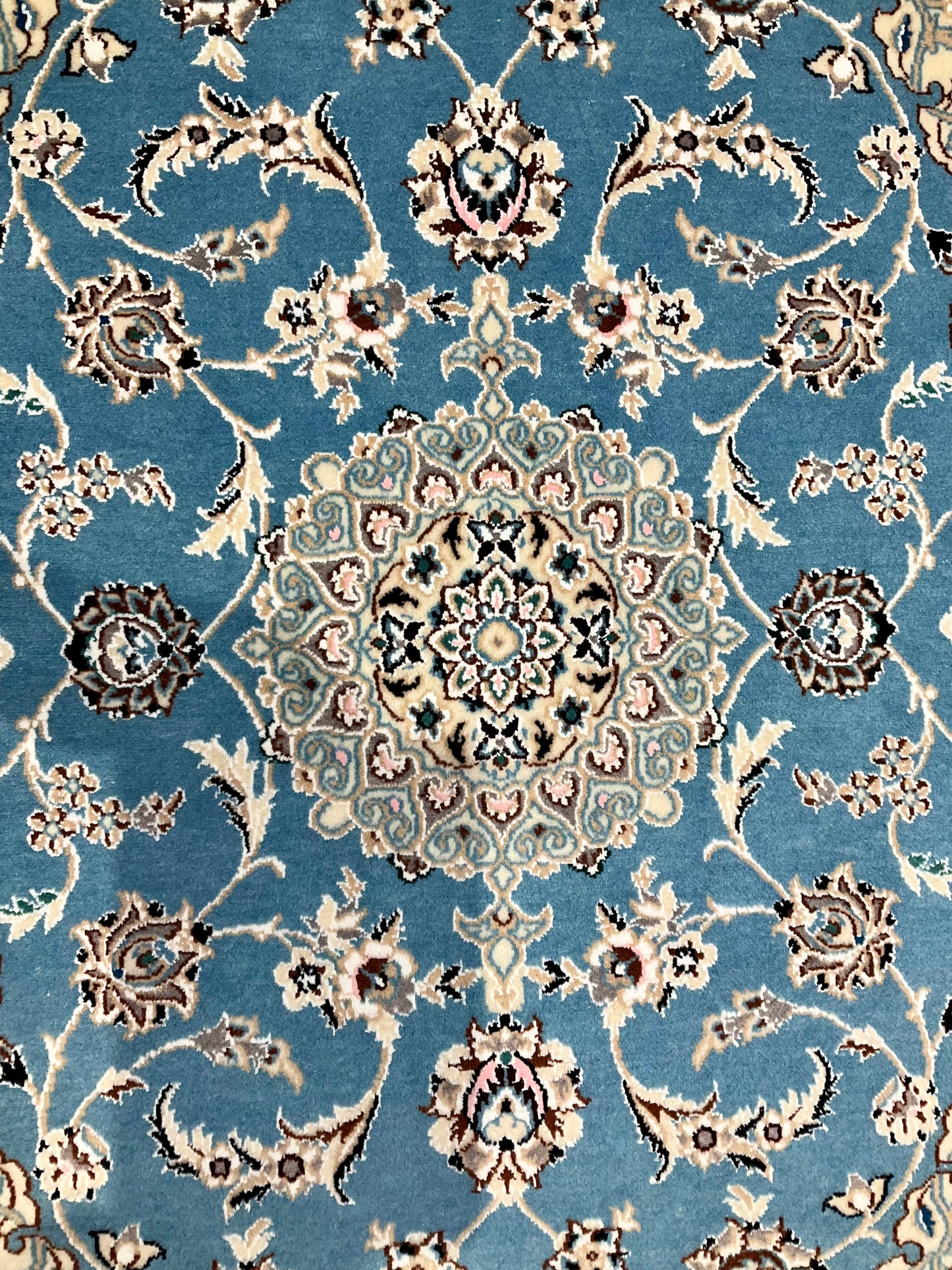 ナインシシラ 93cm x 65cm NT7574