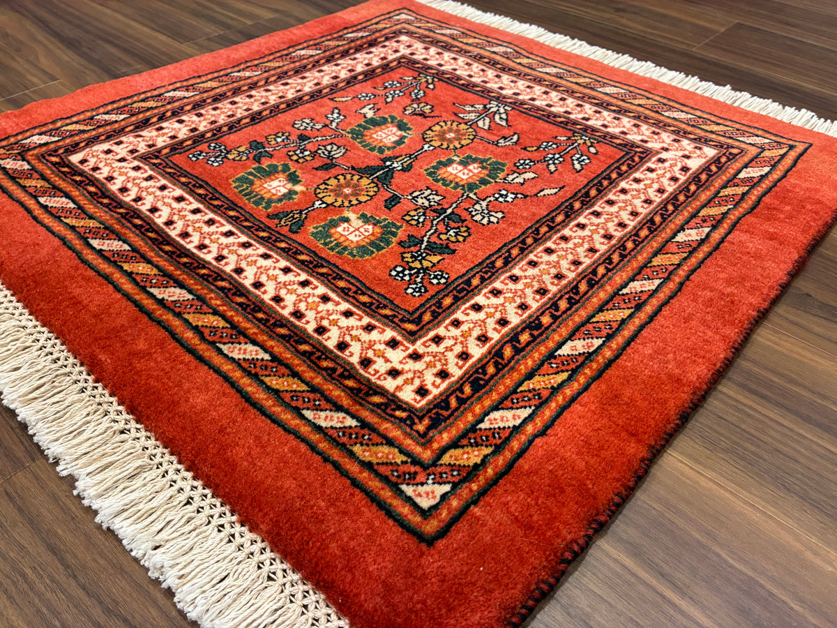 【千葉店】カシュガイ 65cm x 64cm PS7211