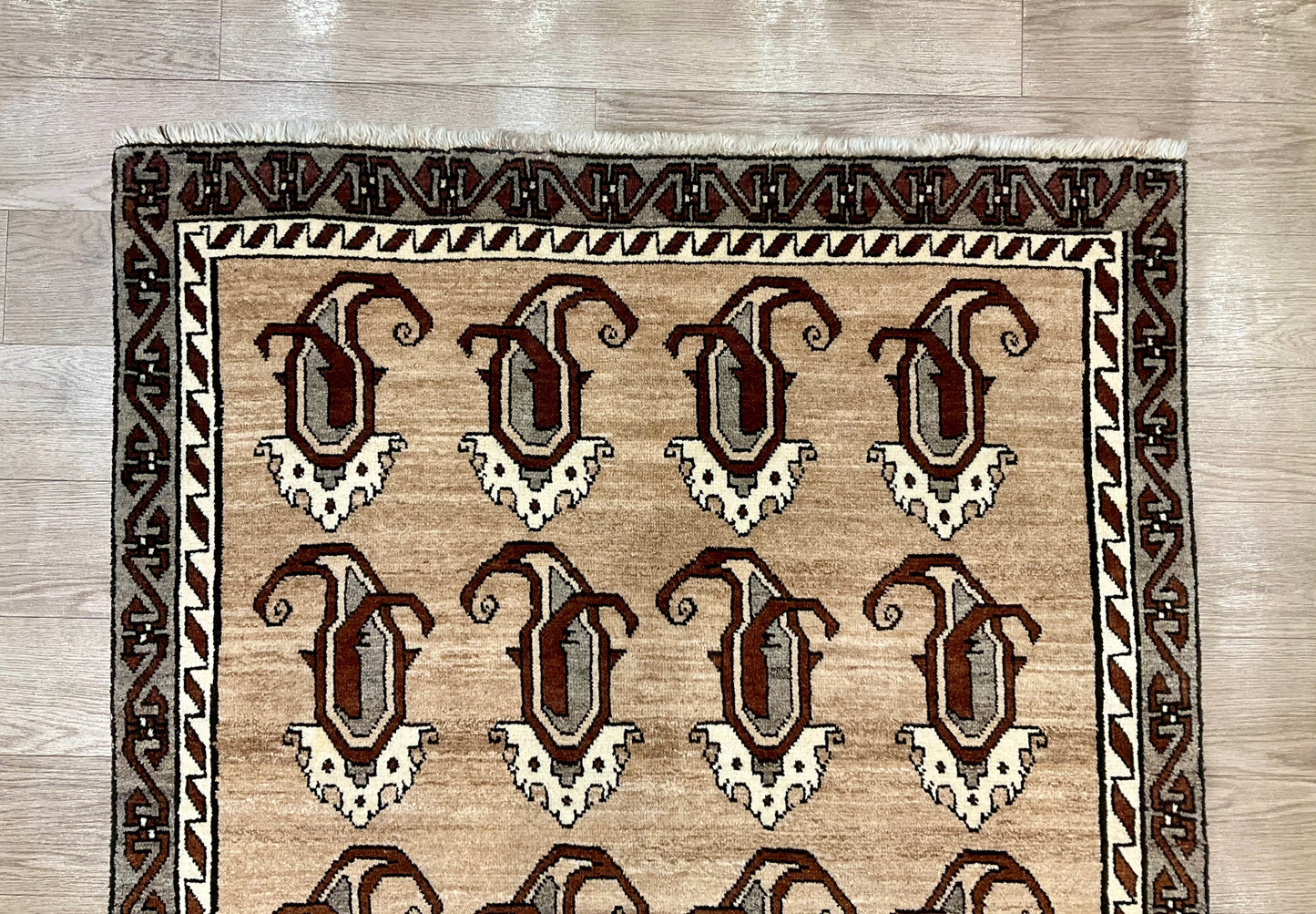 シラーズ 216cm x 120cm NT11200