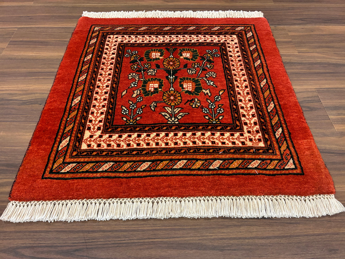 【千葉店】カシュガイ 65cm x 64cm PS7211