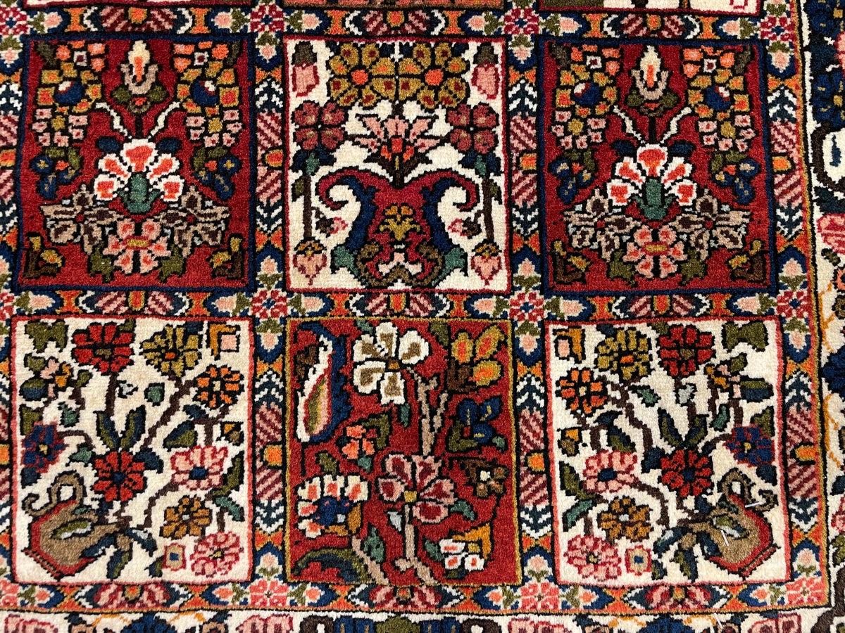 【千葉店】バクティアリ 95cm x 64cm PS8433