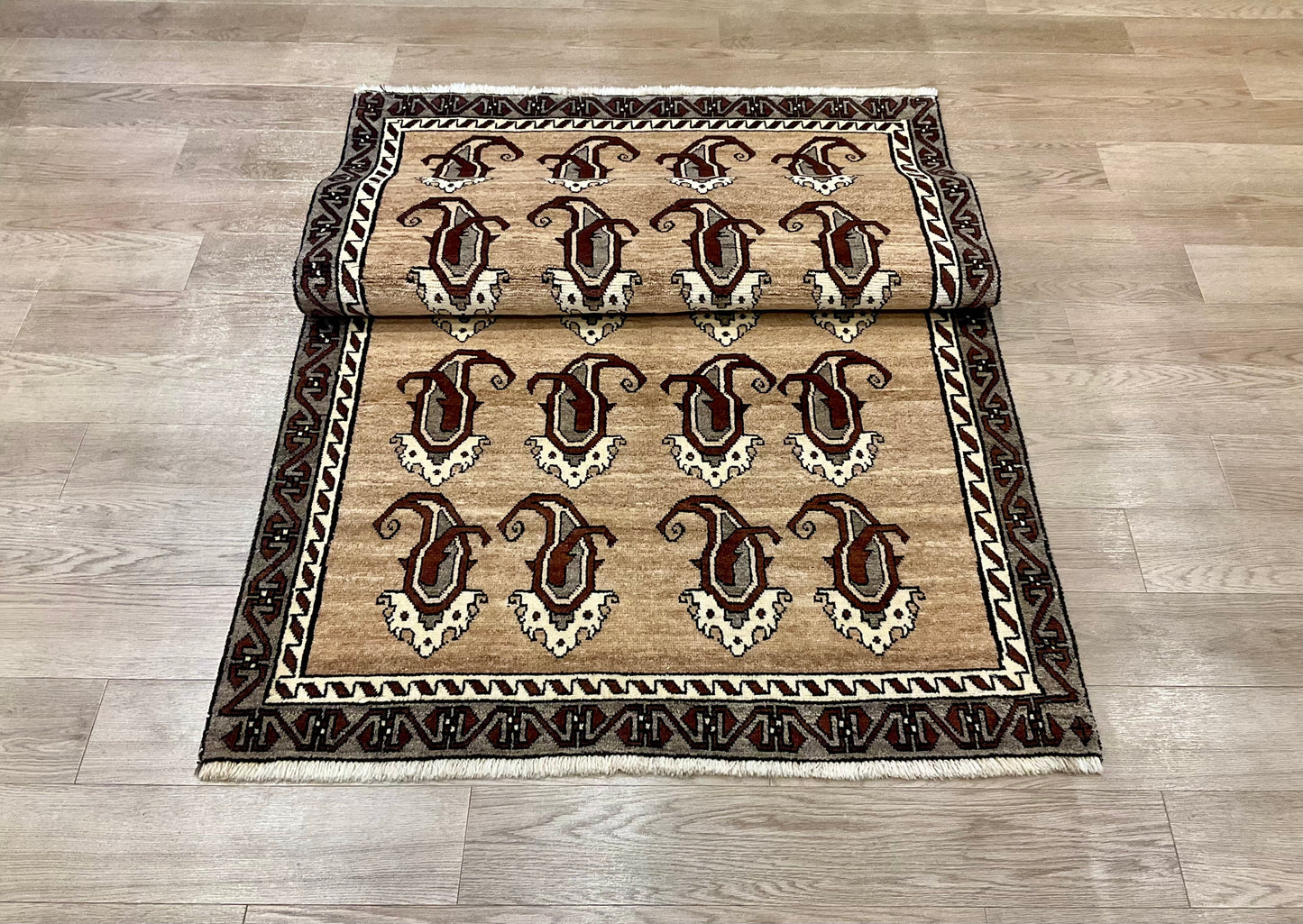 シラーズ 216cm x 120cm NT11200