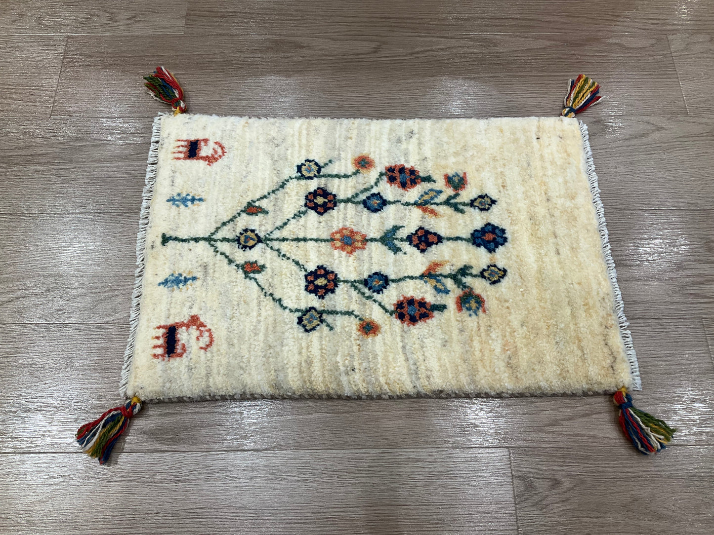 ギャッベ 59cm x 40cm NN16699