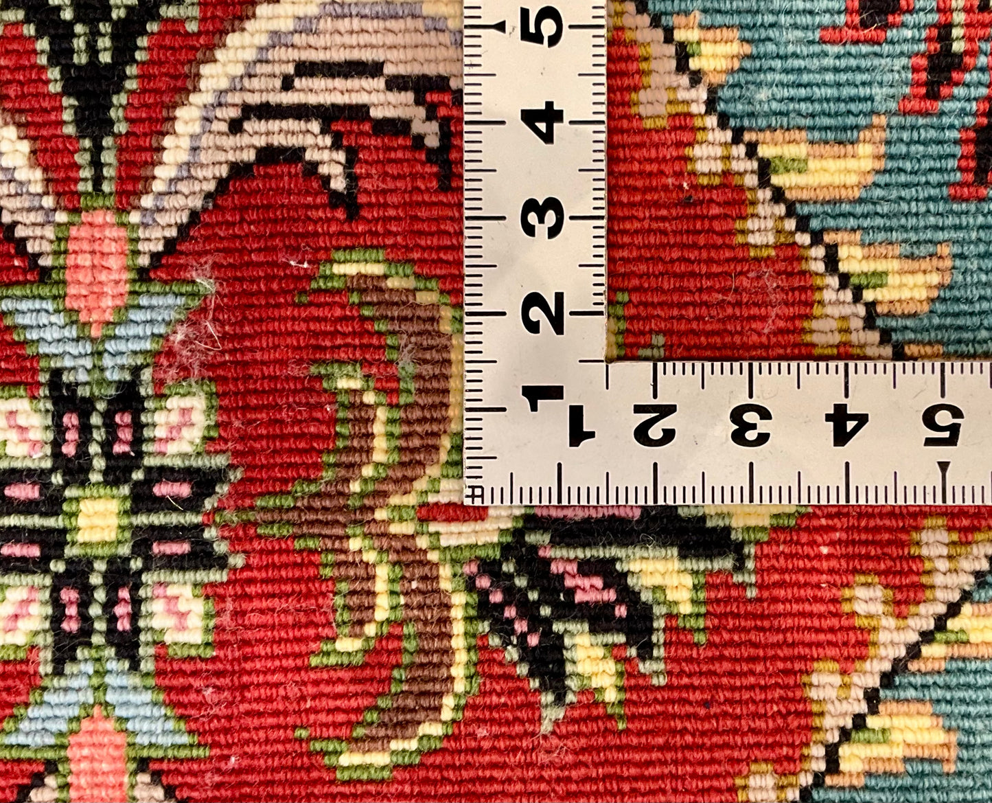 ビジャー 82cm x 62cm NT10041
