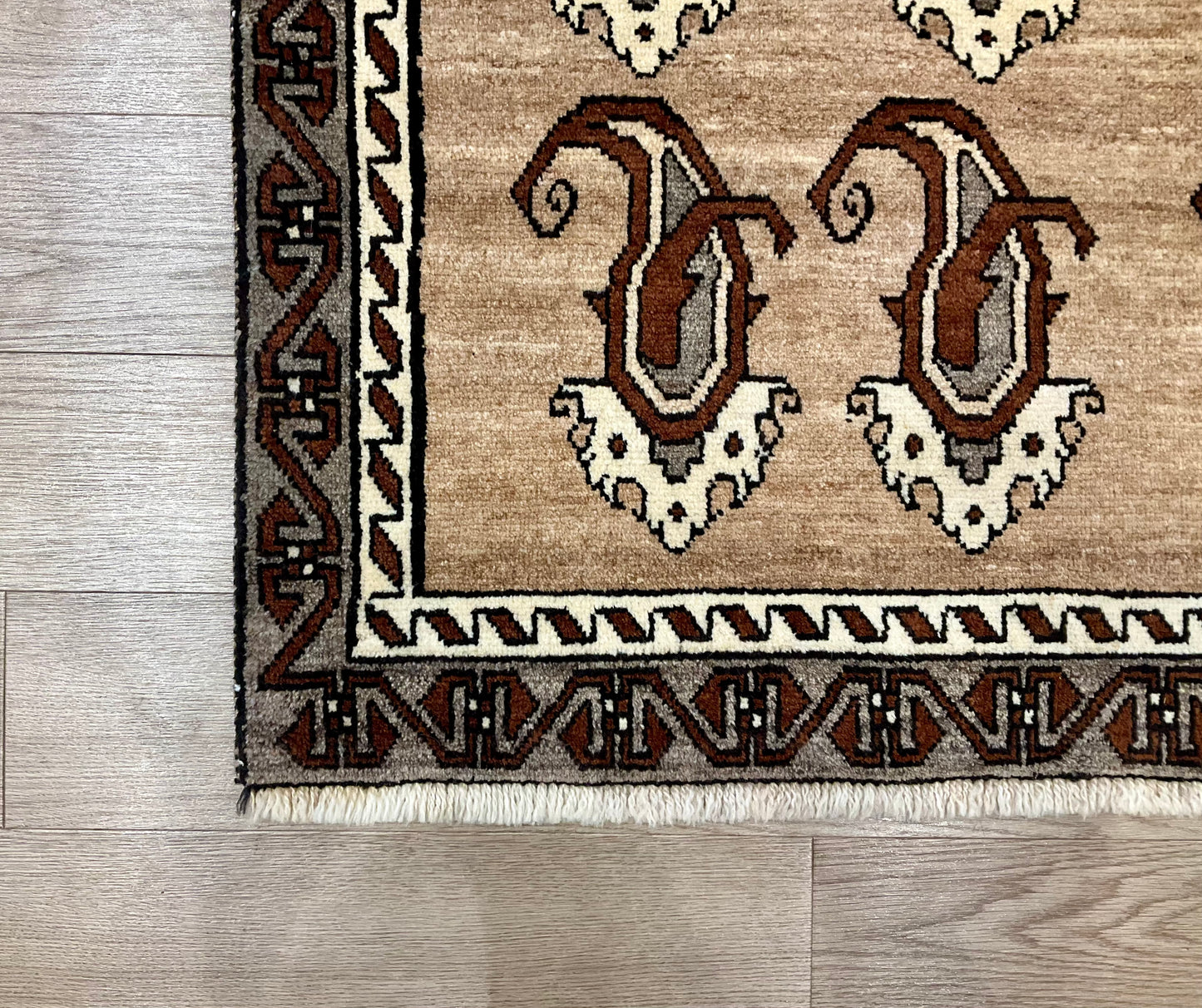 シラーズ 216cm x 120cm NT11200