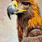 【額装】タブリーズ (イヌワシ) 75cm x 56cm PS8582
