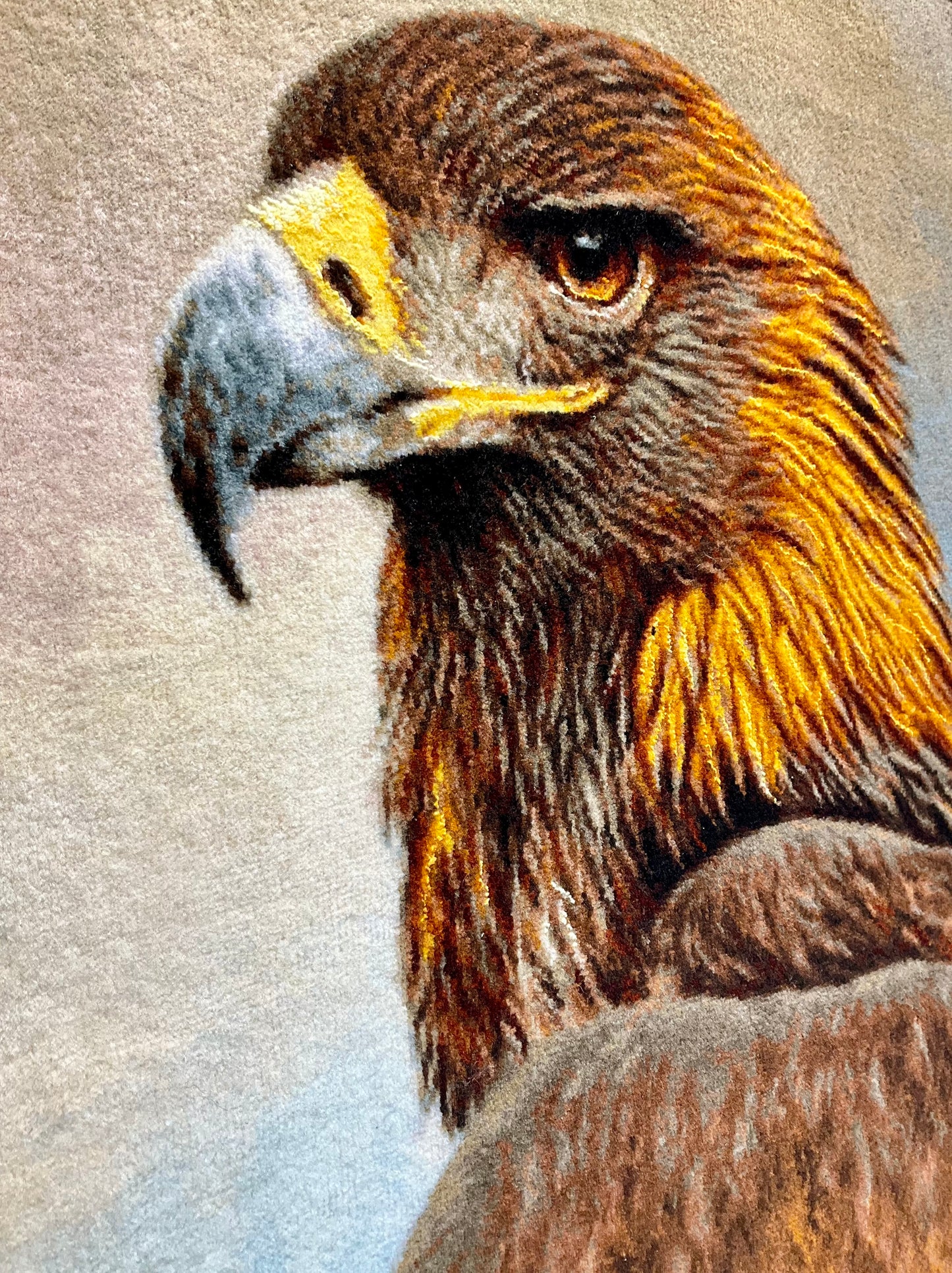 【額装】タブリーズ (イヌワシ) 75cm x 56cm PS8582