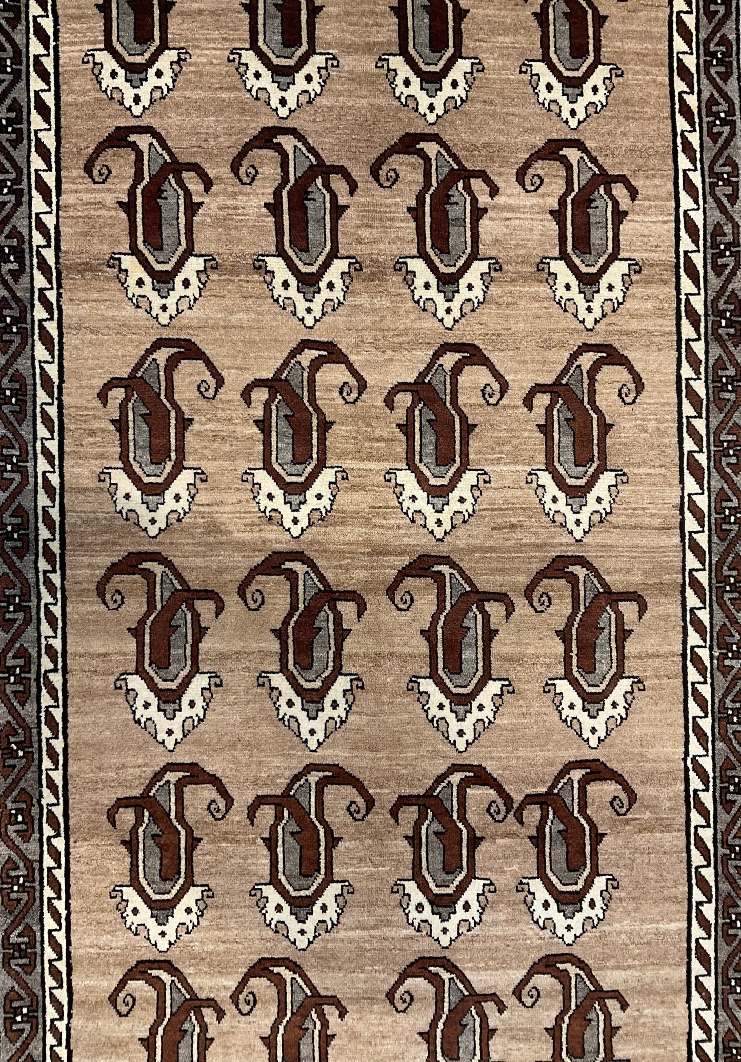 シラーズ 216cm x 120cm NT11200