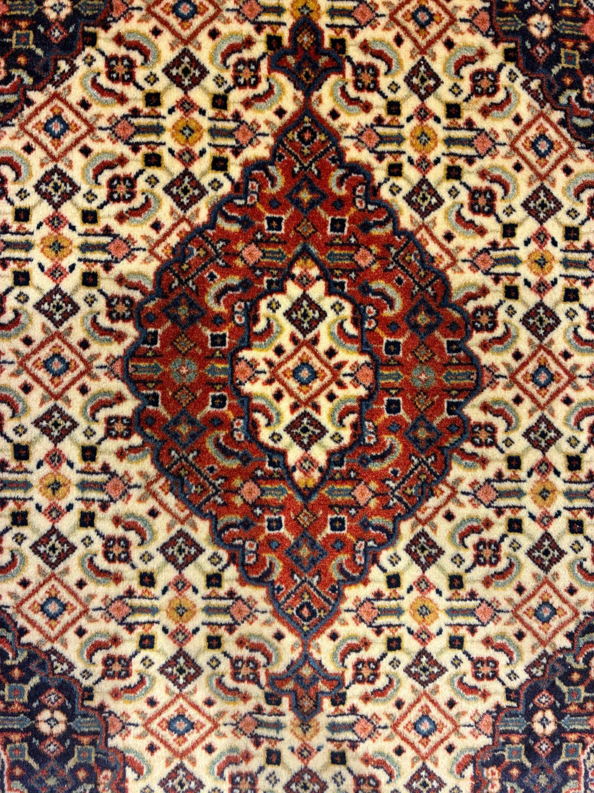 【千葉店】サルーク 77cm x 65cm PS8499