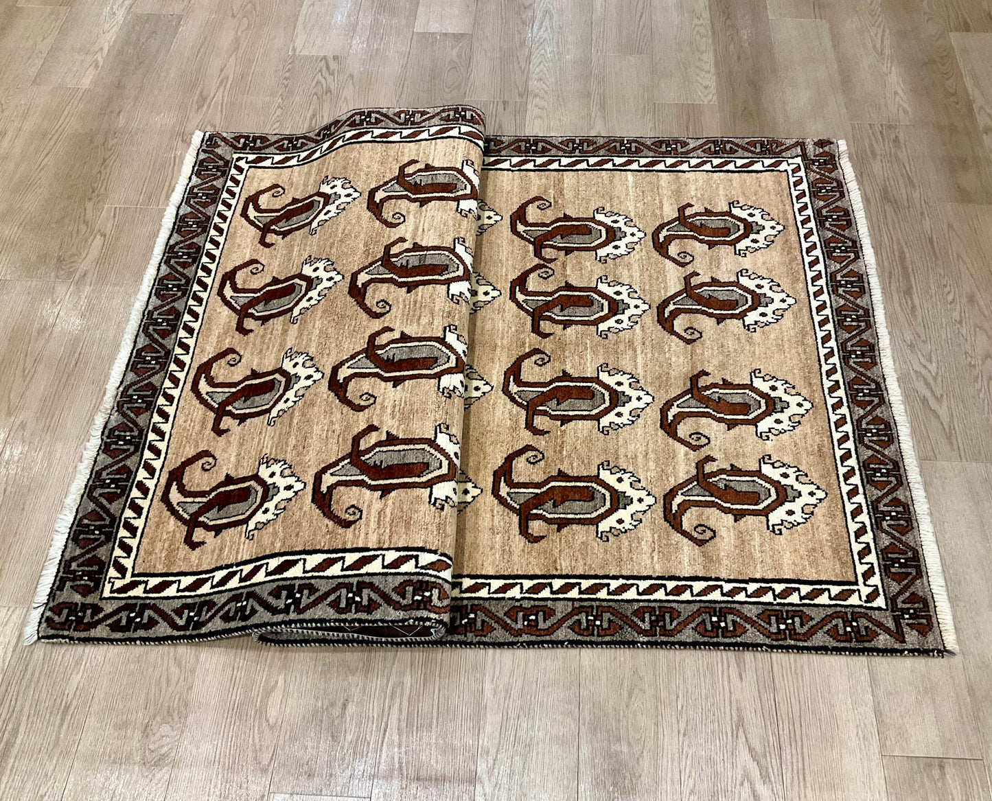 シラーズ 216cm x 120cm NT11200