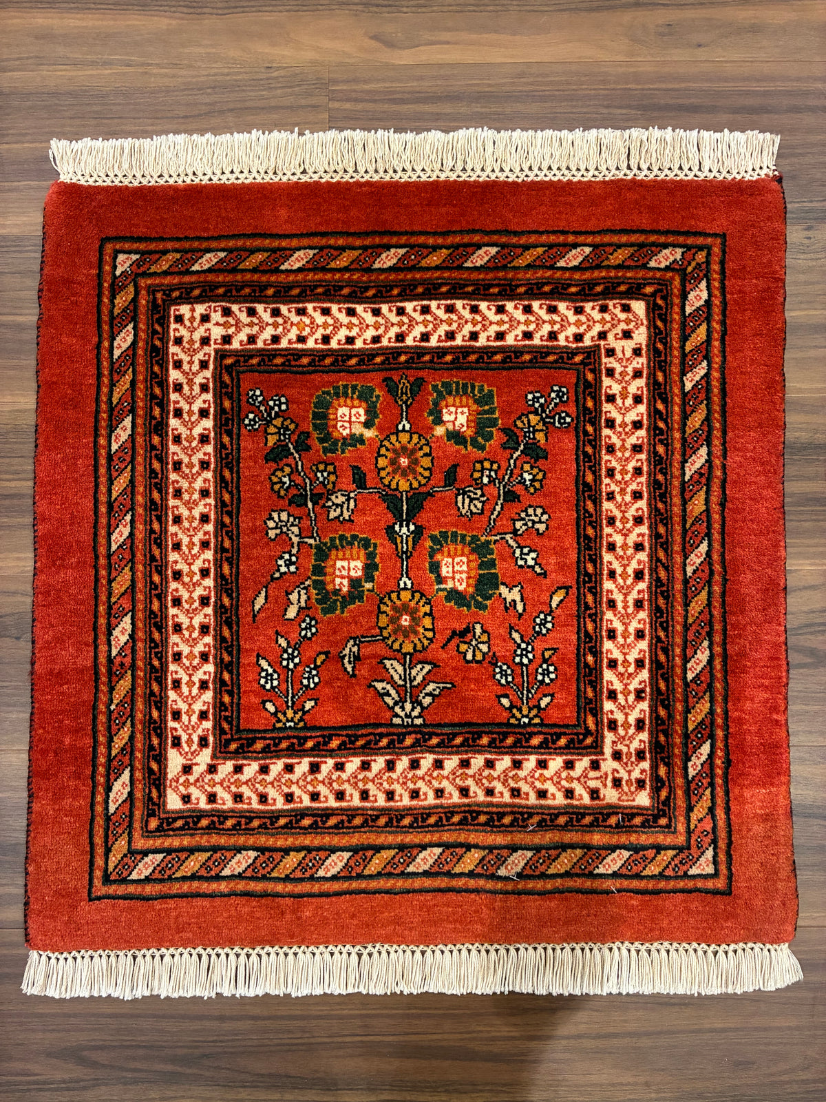 【千葉店】カシュガイ 65cm x 64cm PS7211