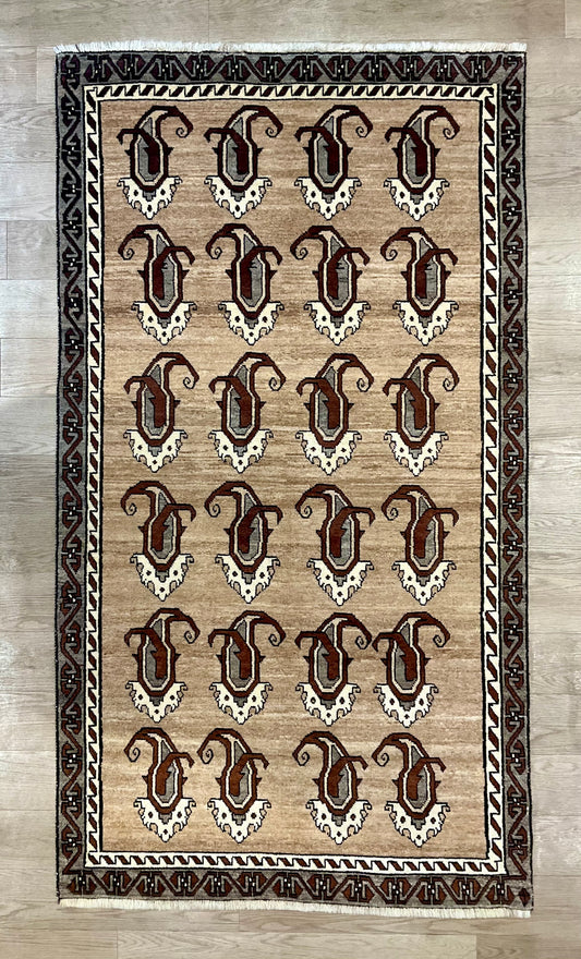 シラーズ 216cm x 120cm NT11200