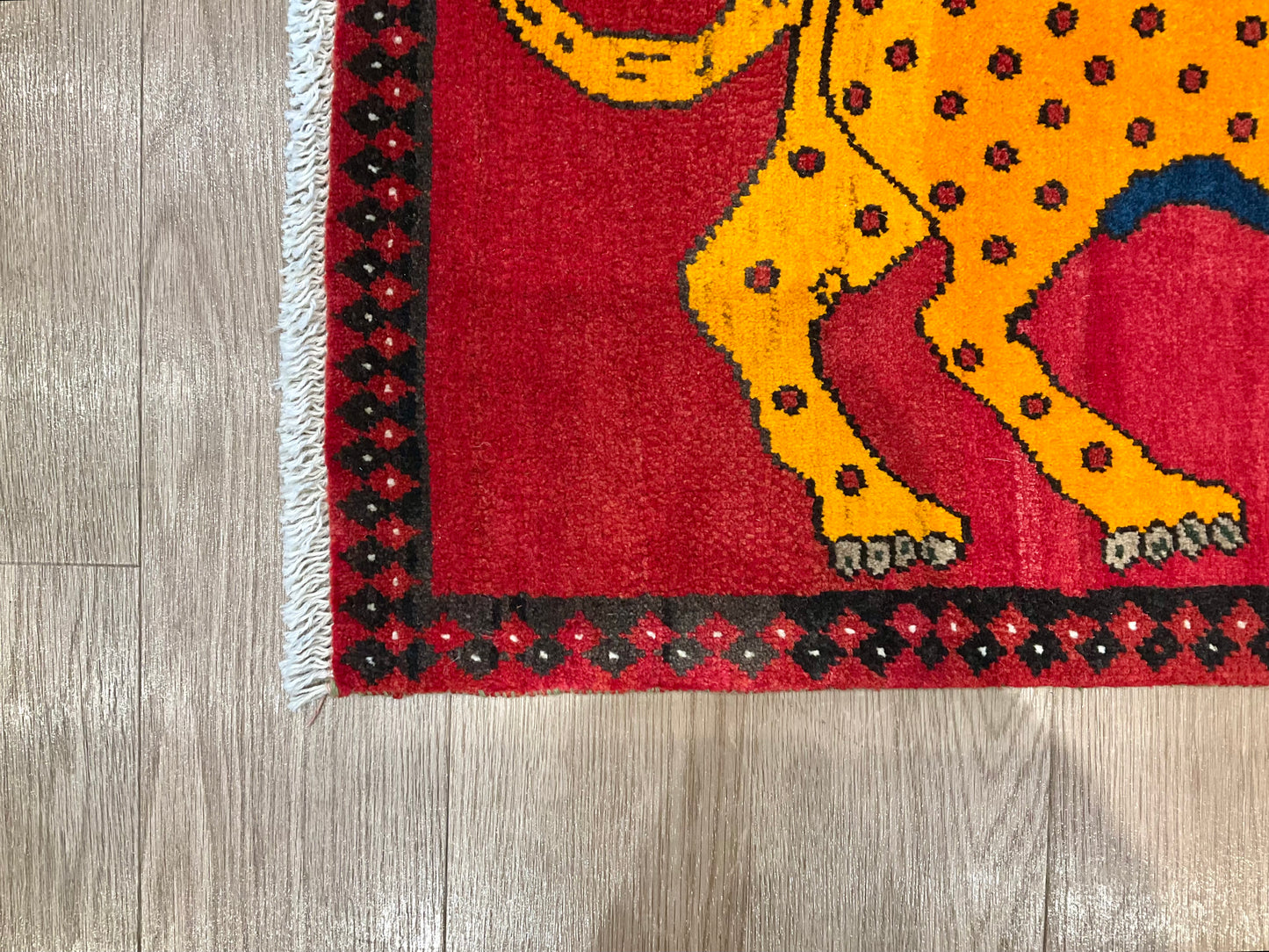 シラーズ 100cm x 65cm PS9379