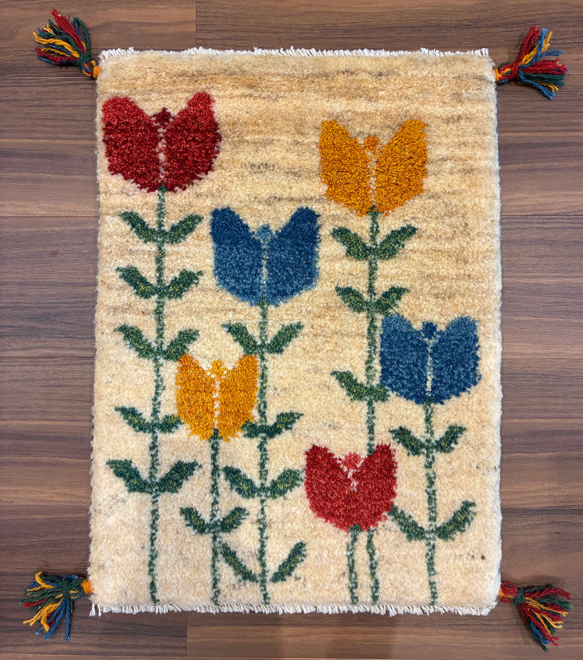 【千葉店】ギャッベ 57cm x 42cm NN20308