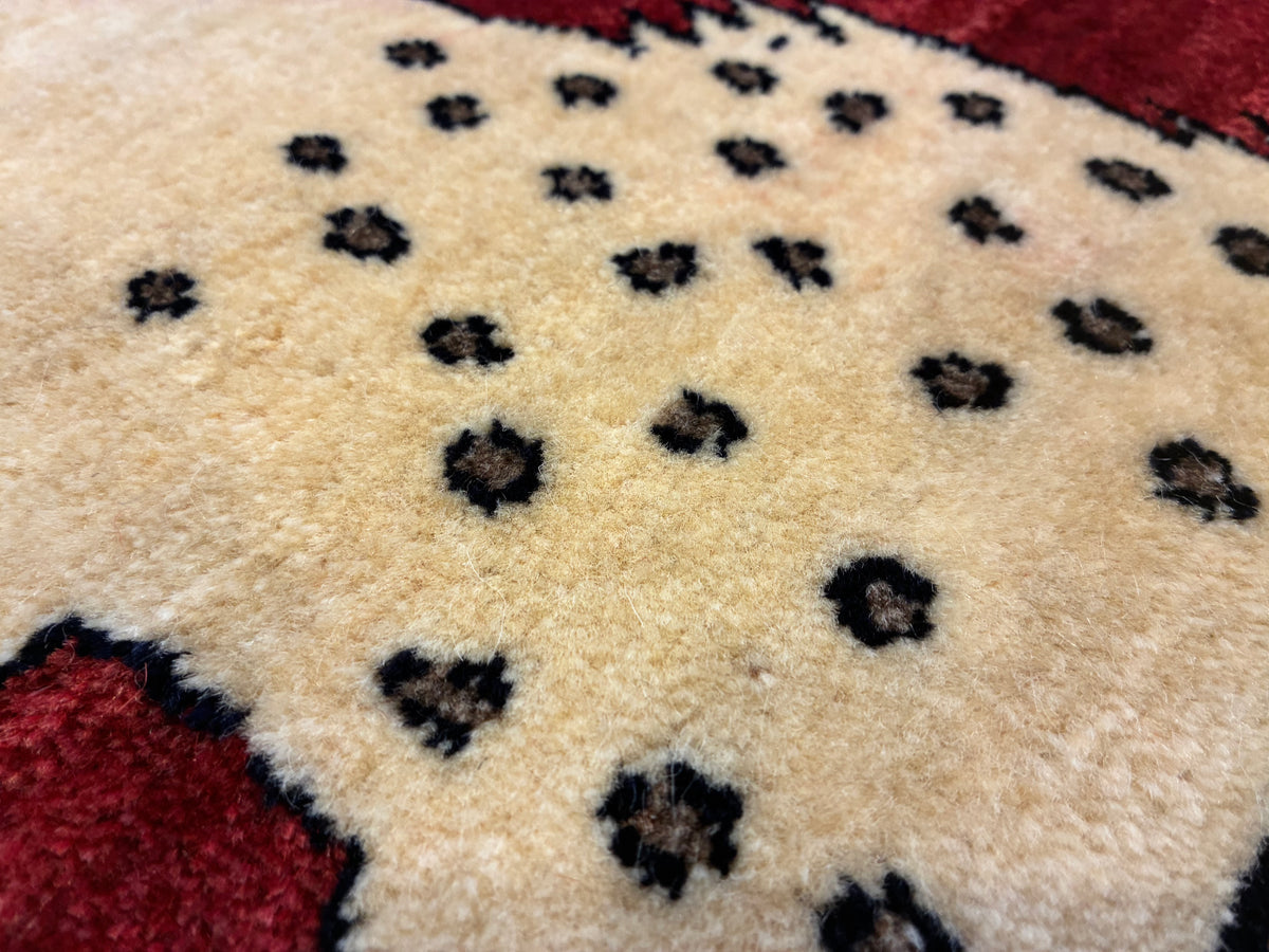 【千葉店】シラーズ 88cm x 67cm RJ15160