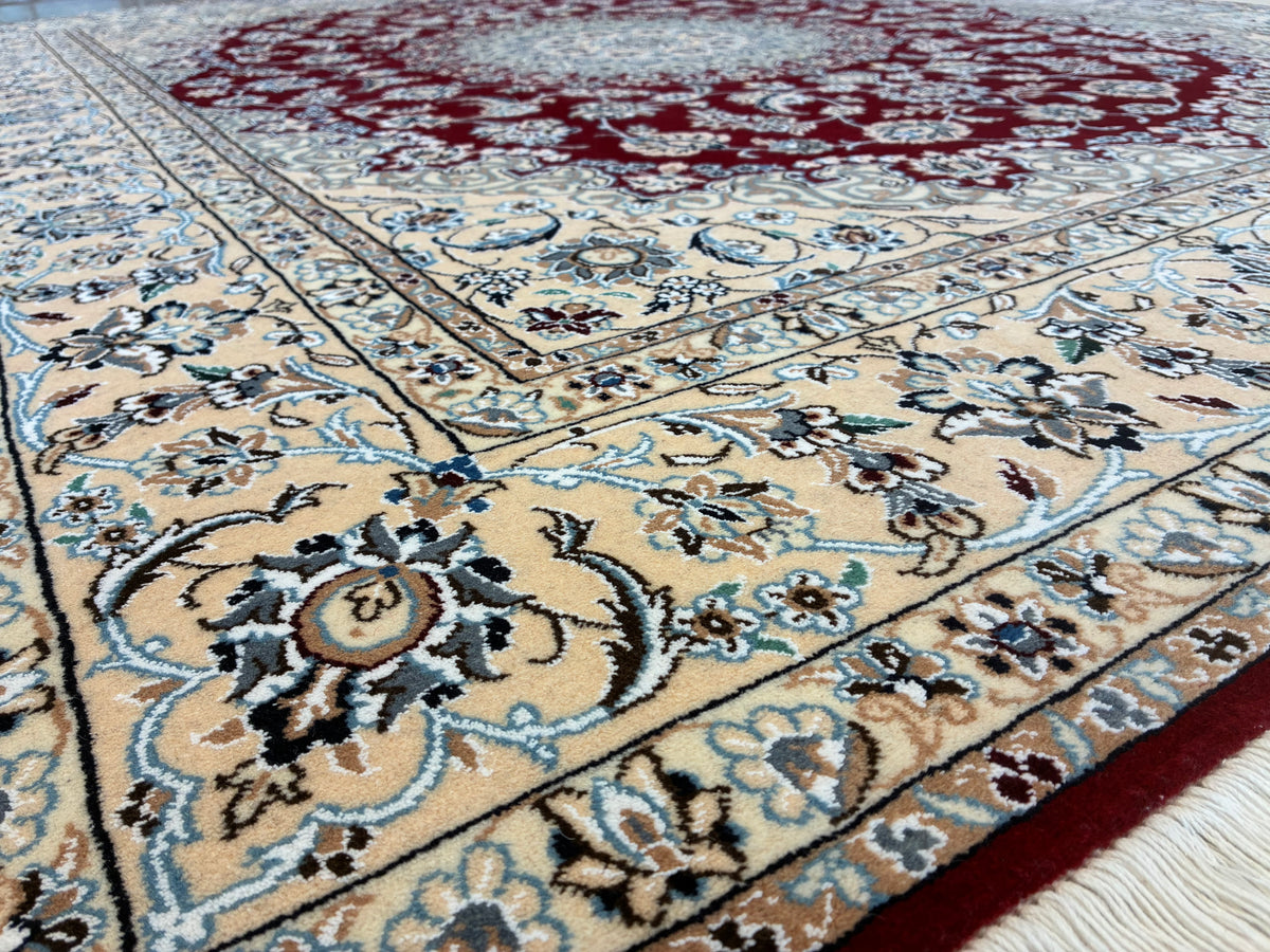 【オンライン限定】 ナイン 260cm x 205cm PS7567