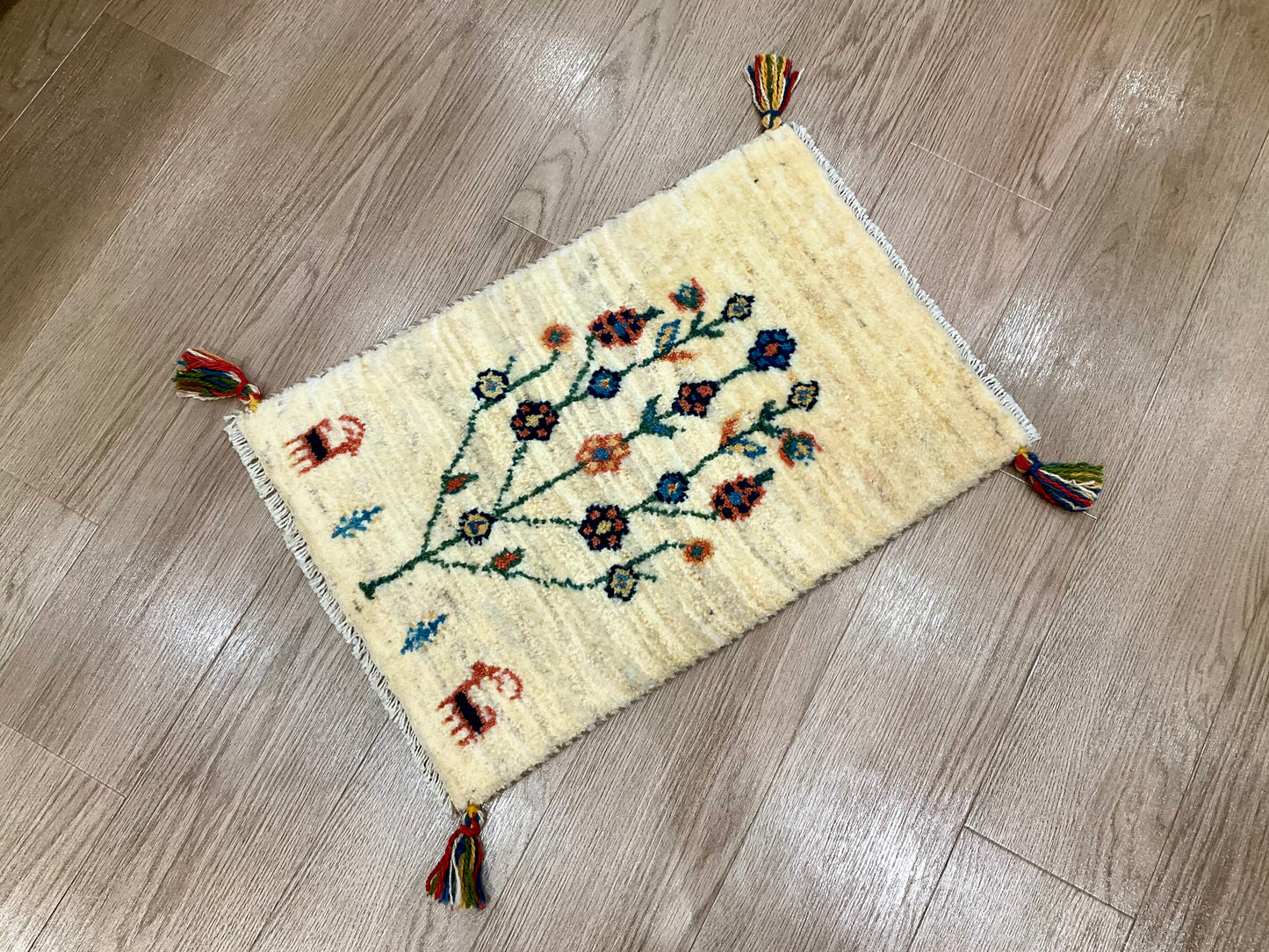 ギャッベ 59cm x 40cm NN16699