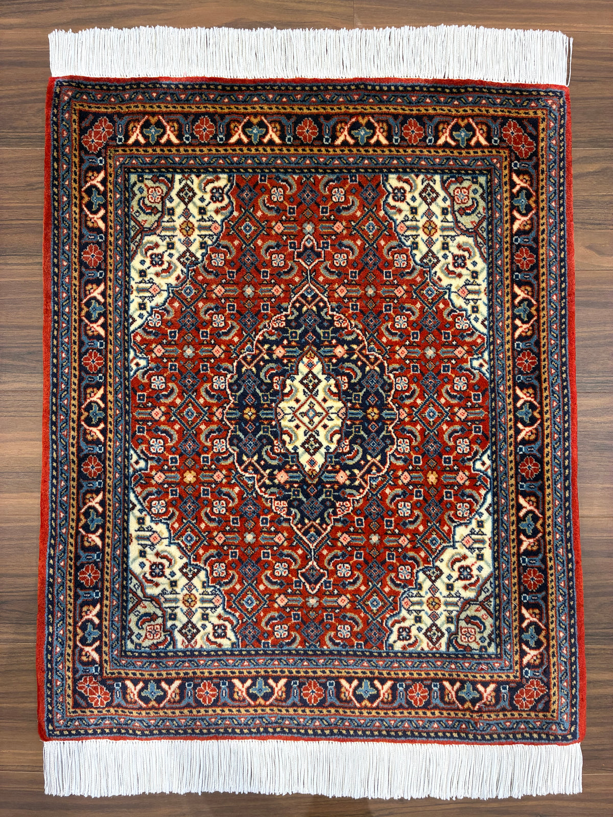【千葉店】サルーク 70cm x 65cm PS8497