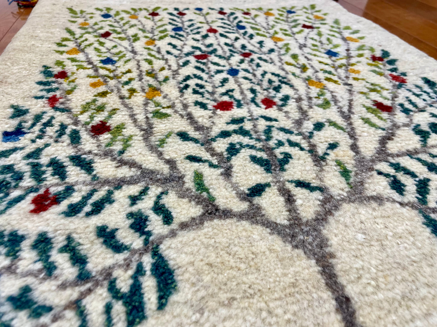 【オンライン限定】ギャッベ 90cm x 62cm RJ14212