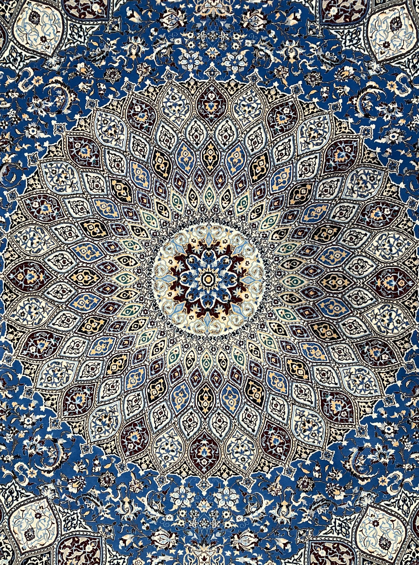 ナイン シシラハビビアン工房 300cm x 210cm PS4848