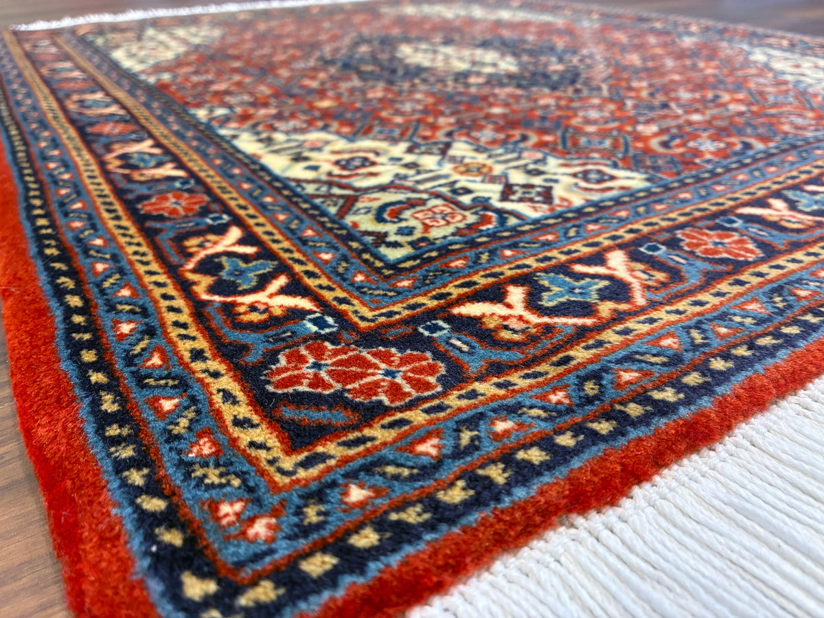 【千葉店】サルーク 70cm x 65cm PS8497