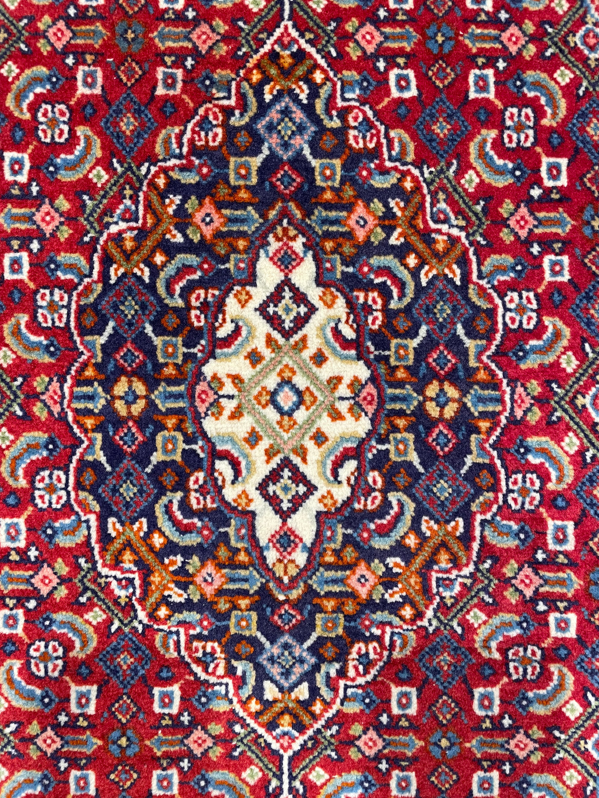 【千葉店】サルーク 80cm x 65cm PS8600