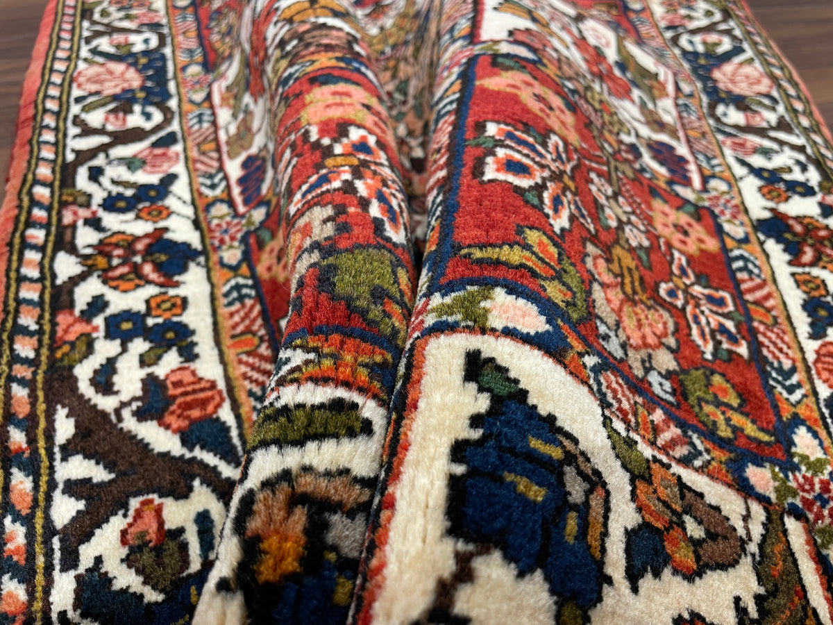 【千葉店】バクティアリ 95cm x 64cm PS8433