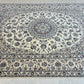 【千葉店】 ナイン・シシラ 261cm x 205cm PS9895