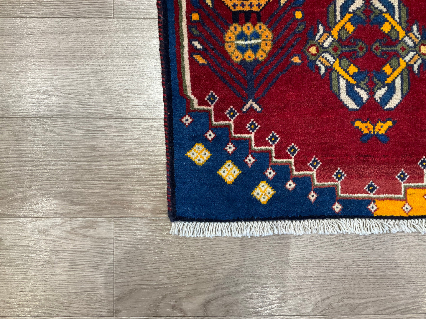 シラーズ 90cm x 60cm PS13546