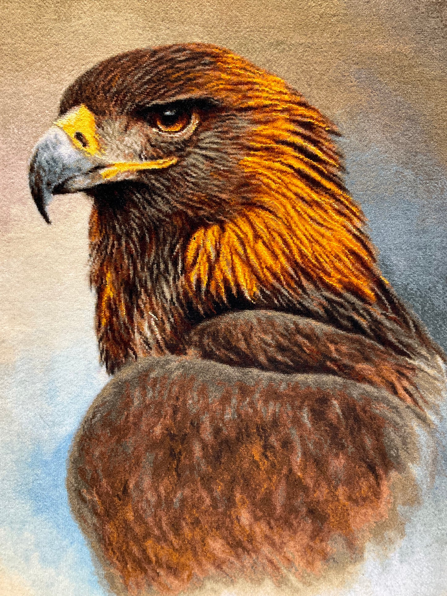 【額装】タブリーズ (イヌワシ) 75cm x 56cm PS8582