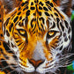 【額装】タブリーズ （豹）アラベルディ工房 92cm x 67cm PS8573