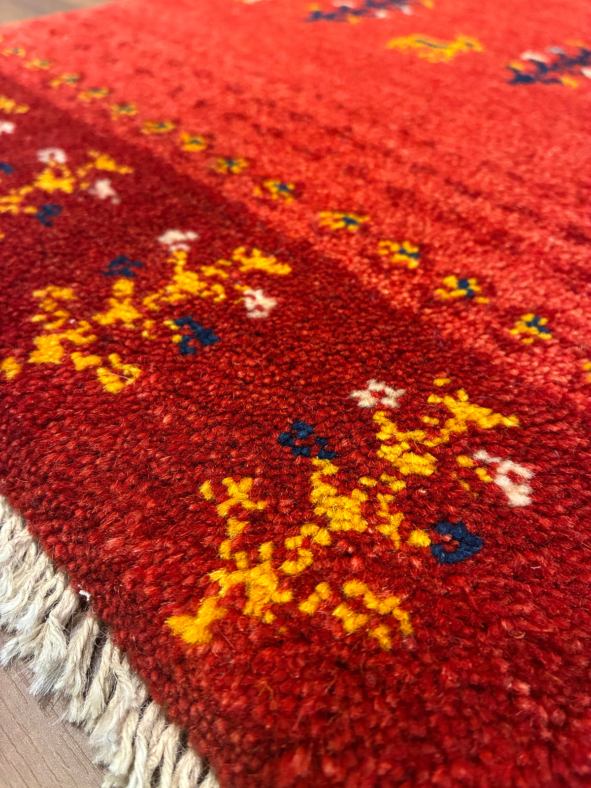 【千葉店】ギャッベ 59cm x 42cm NN19024