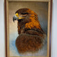 【額装】タブリーズ (イヌワシ) 75cm x 56cm PS8582