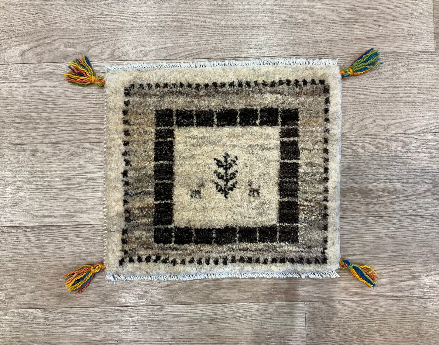 ギャッベ 44cm x 38cm T5669