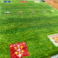 【オンライン限定】ギャッベ 86cm x 60cm RJ1620