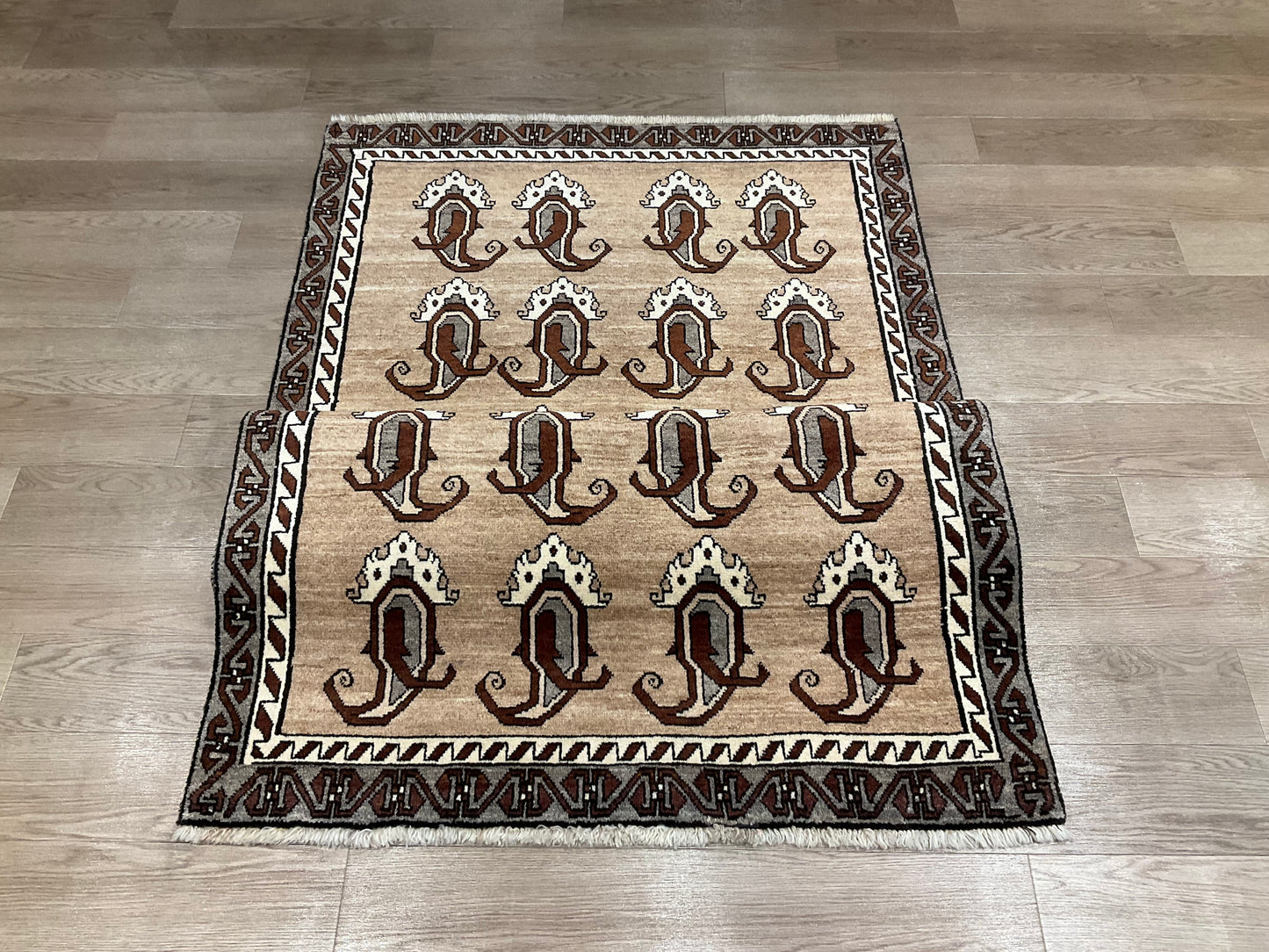 シラーズ 216cm x 120cm NT11200